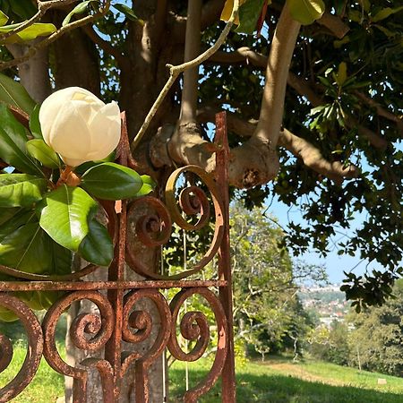 مبيت وإفطار Gelos Domaine De La Tisnere المظهر الخارجي الصورة